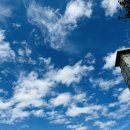 지방 부수리 이미지