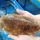 일미횟집 이미지