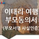 솔루션(SOLUTION) 번역행정사 이미지