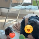 동반자케어 | 안성 평택 산후도우미 후기, 아기 케어부터 엄마 멘탈케어까지 관리해 주셨어요!