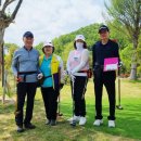 건대아리랑 | [밀양아리랑 파크골프장] (사)대한여성파크골프협회 2026 자선 대회 생생 후기!