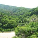 계곡&풍경 이미지