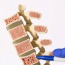 이정형외과의원 이미지