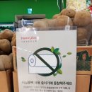 장씨비닐
