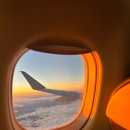 푸른밤 그별아래 이미지