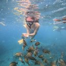 큰 물에서 놀아봐야 진짜 나를 만난다 | [발리여행4일차] 꼭 가봐야 하는 누사페니다 투어 상세 후기 (내돈내산) | 발리 스노쿨링 추천