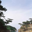 [국도36] 보령시 신흑동