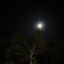 횃불약국 이미지