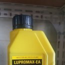 지프로드 이미지