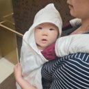 더잘 | 수유가리개 추천 | 유모차 담요로 더 잘 쓴 봄달 블랭킷 내돈내산 후기