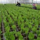 (주)KCTV제주방송 이미지