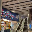 도그도기 | 아시아나 마일털기 3 / SQ832 SIN-PVG 비즈니스 탑승 후기