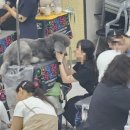 멍보드레 이미지