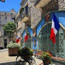 금동카프라자 이미지