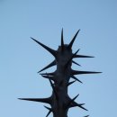 대전추모공원 이미지