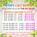 산남농장 | 추석 선물세트 감귤 황금향 주문해봤어요 / 산남감귤영농조합 ^^