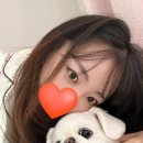 퍼피앤맘 이미지