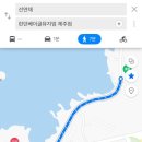 선연채
