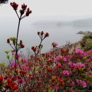 태백초등학교 이미지