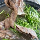 산노을 | 화성송산 산노을 염소탕 닭백숙 식당