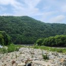 정솔펜션 이미지