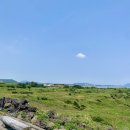 속초진성광고 | 코로나 이전에 다녀온 제주 여행 후기(내돈내산)