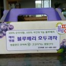 착한호두과자 네이버블로그