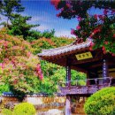 그립고 정든 고향 집 / 靑山 손병흥 이미지