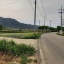 시외버스터미널(터미널사거리) 이미지