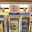 보라보라케이스 이미지