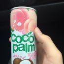 마시야 이미지