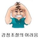 유한책임회사하이모하 | [일상] 25년 9월말 - 10월초 기록 (팀 워크샵, 모모카페, 요시고전, 아비꼬, 남산, 연휴 시작)