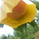 사암농장 이미지