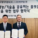 디케이지앤씨