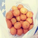 땡큐에브리원 이미지