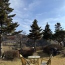 홍천더테라스
