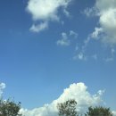 디로버스테이 이미지