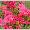 조선대학교병원 이미지