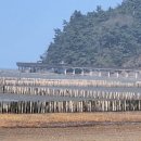 송림투어