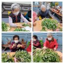 실버트리요양원 네이버블로그