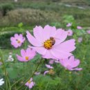 길마행정사 사무소 이미지