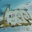 나00 네이버블로그