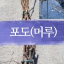 대성판매장 이미지