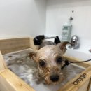 아띠아몽 이미지