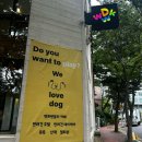 해운대로774번길 | 해운대애견동반카페 강아지와 견주 모두를 위한 위디위키