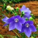 수목원 입구 이미지