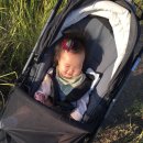 (주)코엔코 | 어떤 길도 문제 없어요! 휴대용유모차 보다 가뿐한 디럭스유모차 엑스랜더 엑스사이트 유모차후기