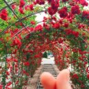 산천토담집 - 횡성군 두원1길 20-6 | 산천토담집