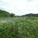 진관2리마을회관 이미지