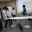 언남중학교 이미지